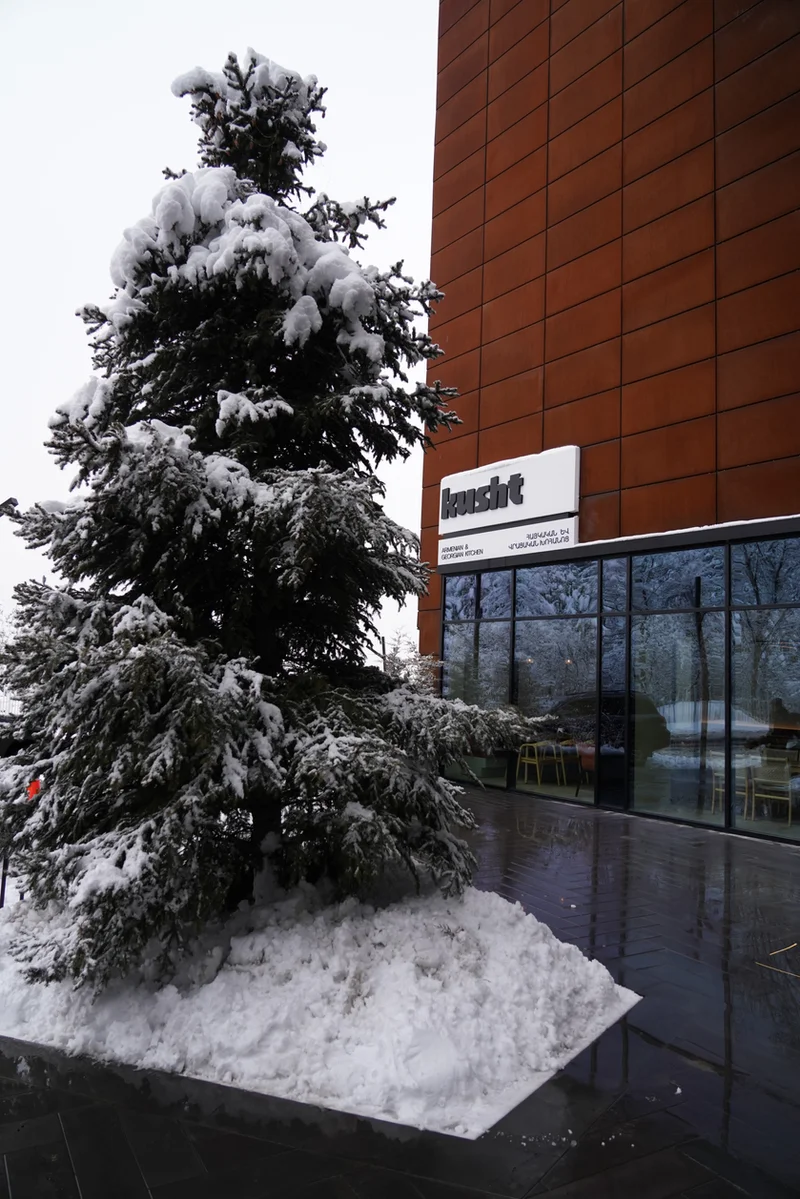 Woods Center in the snow